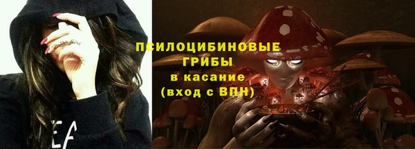 бошки Бугульма