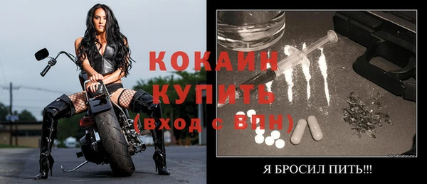 спайс Бородино