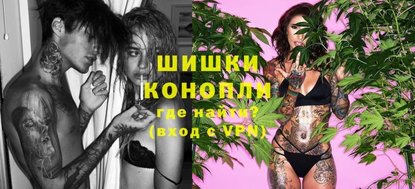 спайс Бородино