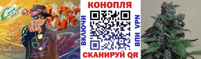 Конопля OG Kush  Свободный 